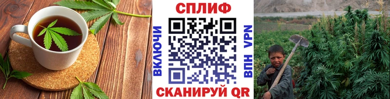 blacksprut онион  Зима  Еда ТГК конопля 