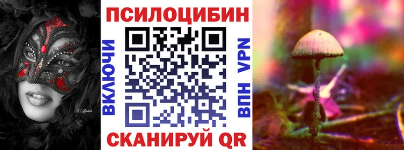 даркнет сайт  нарко площадка как зайти  Псилоцибиновые грибы прущие грибы  Зима 