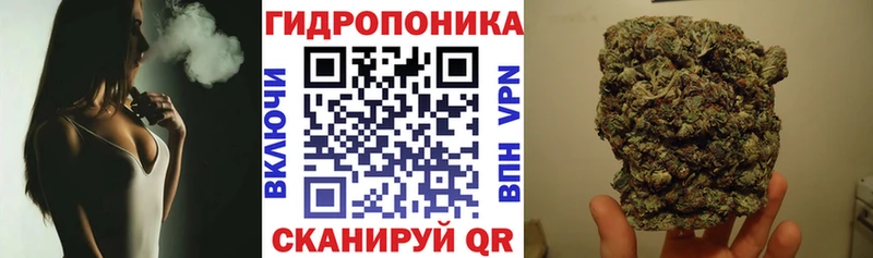 Бошки марихуана Bruce Banner маркетплейс какой сайт Зима